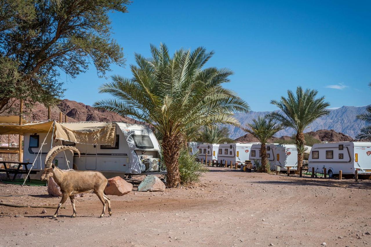 Park Timna Hotel Eilat Ngoại thất bức ảnh